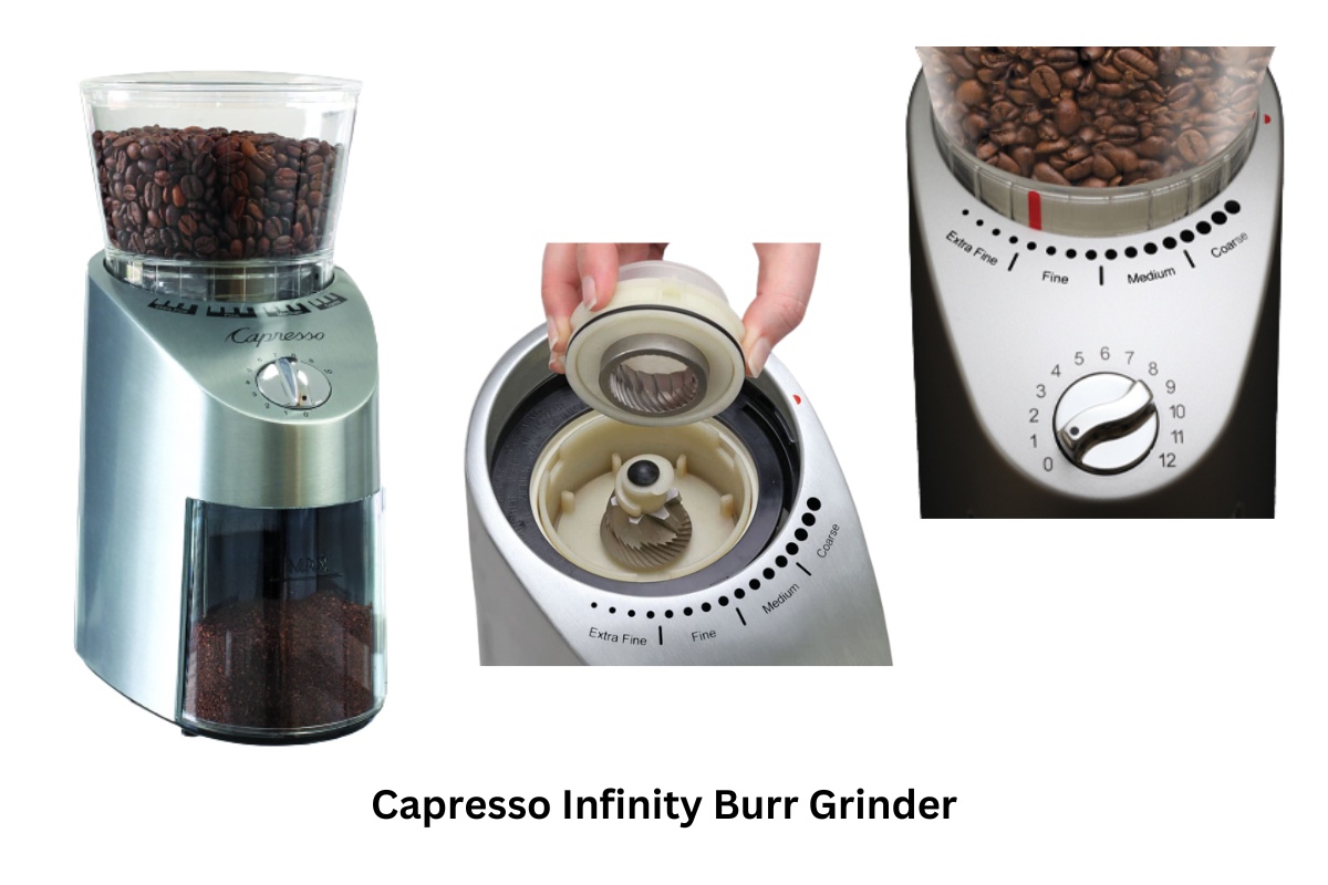 Top 10 Best Coffee Grinder 2023 Comprehensive Guide The Kitchen Kits