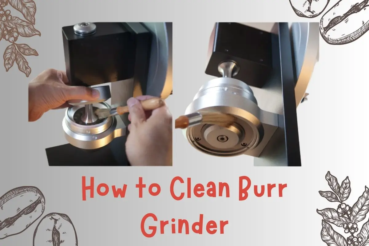 How to Clean Burr Grinder