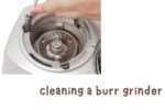 cleaning a burr grinder