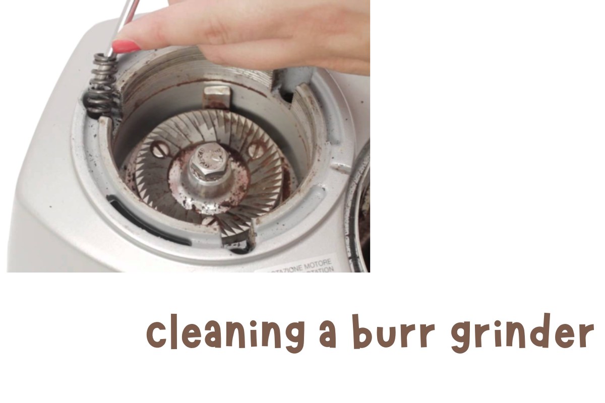 How to Clean Burr Grinder The Kitchen Kits