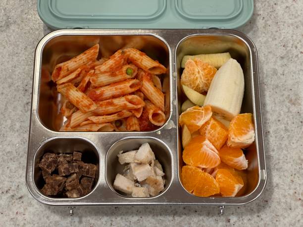 Lunch Ideas for Kids 